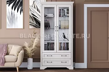 Шкаф-витрина Стилиус REG2W2S (Лиственница сибирская) фото 2